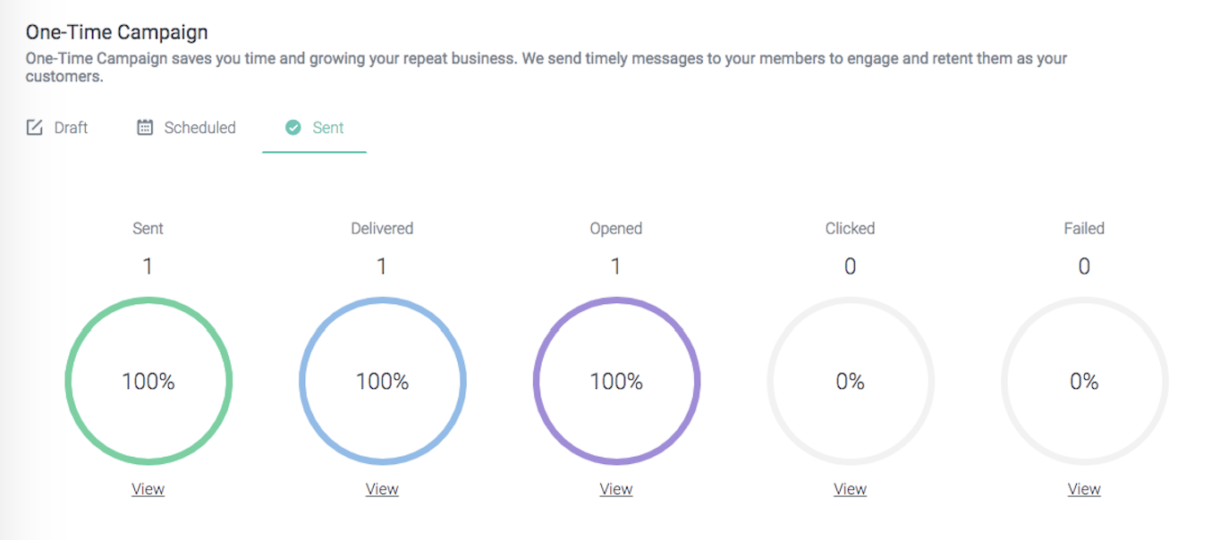 costumer loyalty dashboard campaign report